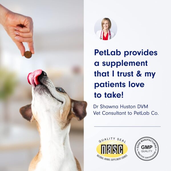 PetLab Co. Skin & Coat Chew - Optimize Scalp and Fur Condition with a Tasty Dog Chew, Packed with Beneficial Fatty Acids, Vitamins and Apple Cider Vinegar to Deliver Comfort and Support a Healthy Coat - Image 3