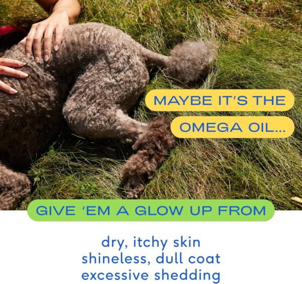 Native Pet Omega 3 Fish Oil Supplements with Omega 3 EPA DHA for Dogs Liquid Pump is Easy to Serve, Supports Itchy Skin + Mobility - a Fish Oil Dogs Love! (16 oz) - Image 4