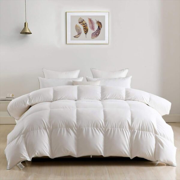 DWR Luxury Feathers Down Comforter Full/Queen, Hotel-Style Fluffy Duvet Insert, Ultra-Soft Egyptian Cotton Fabric, 750 Fill Power 46oz Medium Weight for All Season(90x90, White) - Image 2