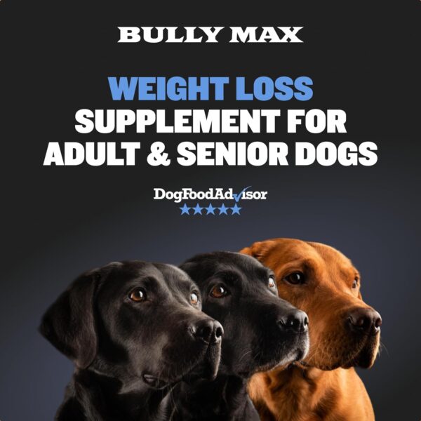 Bully Max 2-in-1 Dog Weight Loss Supplement Chews for Adult and Senior Dogs - Healthy Dog Food Supplement for Immunity & Weight Control - Dog Treats Vitamins - 2 Packs, 75 Soft Chews per Pack - Image 8