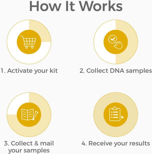 DNA Sibling Test - at-Home Collection Kit for Full & Half Siblings - Lab Fees & Shipping Included - Results in 1-2 Days - Image 3