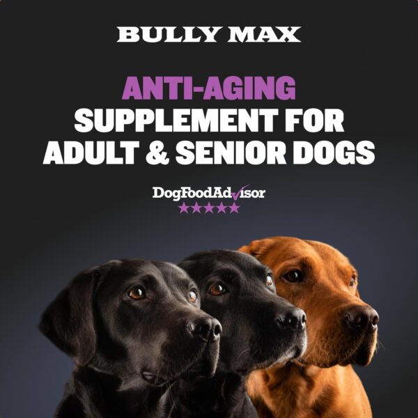 Bully Max 2-in-1 Anti-Aging Multivitamin Chews - Senior Dog Food Supplement for Vitality, Immunity, Joint Support with Postbiotics - Adult Dog Vitamins - 2 Packs, 75 Tasty Soft Chews per Pack - Image 7