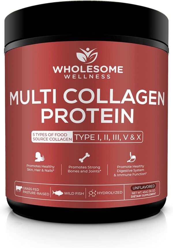 Multi Collagen Protein Powder Hydrolyzed (Type I II III V X) Grass-Fed All-in-One Super Bone Broth + Collagen Peptides - Premium Blend of Grass-Fed Beef, Chicken, Wild Fish, Eggshell Collagen - Image 2