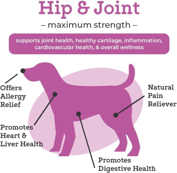 VetPro Dog Hip and Joint Supplement - Pain and Inflammation Relief Chews with Glucosamine, Chondroitin, MSM, Turmeric, Vitamin C, Omega 3 - Treats Hip Dysplasia, Arthritis - Dogs Chewable Supplements - Image 4