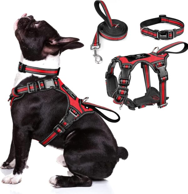 WINSEE Pet Harness Collar and Leash Set, All-in-one Reflective Dog Harness No Pull with Adjustable Buckles for Puppies, Small, Medium, Large, and Extra-Large Dogs (Medium, Red) - Image 2