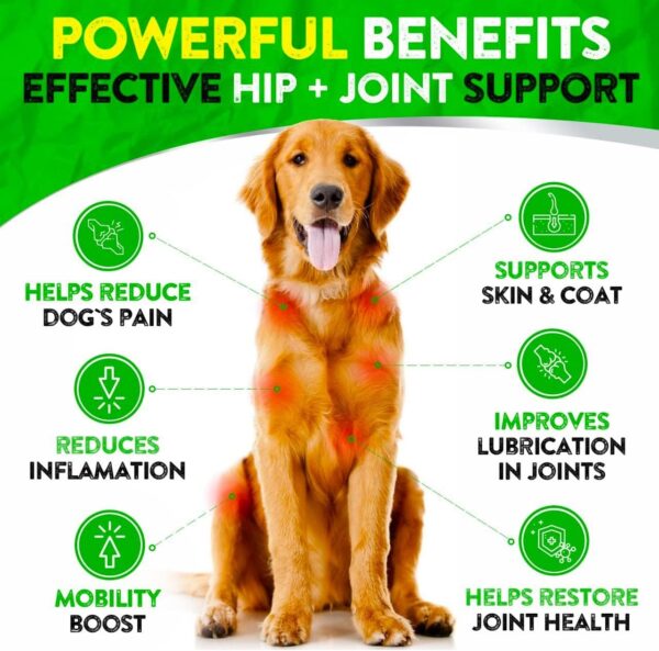 Hemp Hip and Joint Supplement for Dogs - Glucosamine for Dogs - 170 Dog Joint Pain Relief Treats - Chondroitin, Hemp Oil, MSM - Mobility & Flexibility Support - Advanced Joint Health - Made in USA - Image 3