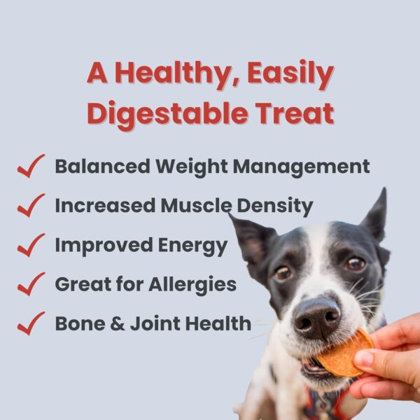 Farm To Pet Chicken Chips for Dogs - Single Ingredient All Natural Dog Treats for Small, Medium, & Large Dogs | Healthy Training Treats for All Breeds & Puppies | Made in USA - Image 6