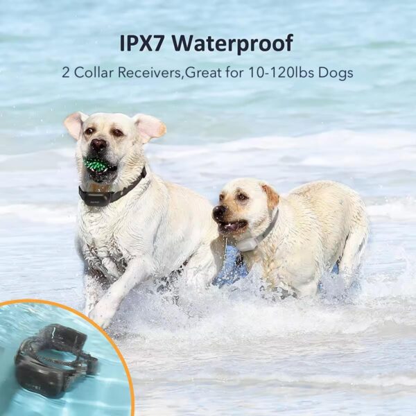 PATPET Shock Collar for Dogs(10-120lbs), 4000ft Rechargeable IPX7 Waterproof Training Collar with Remote for 2 Dogs- Electric Dog Collar for Small Medium Large Dogs 2 Packs - Image 5