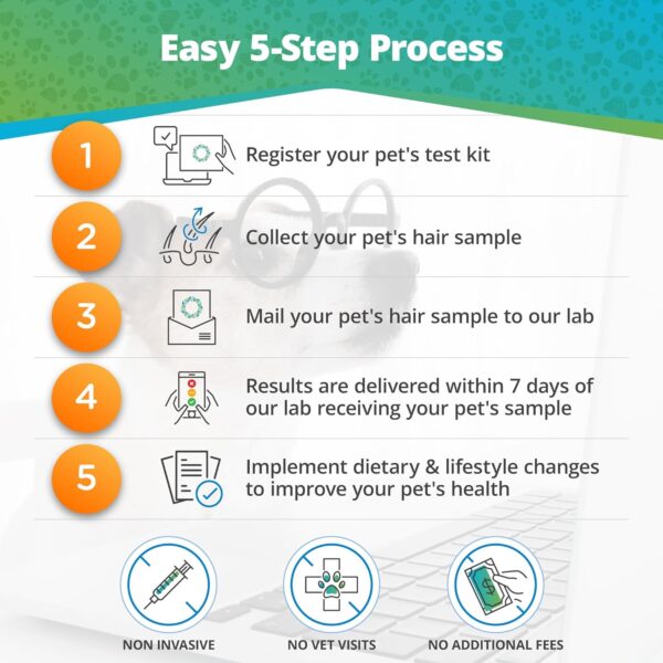 5Strands Pet Food & Environmental Intolerance Test for Dogs & Cats, Nutrition & Metals and Minerals Imbalances - at Home Sensitivity Testing, 481 Items, Results in 5 Days, All Ages and Breeds - Image 5