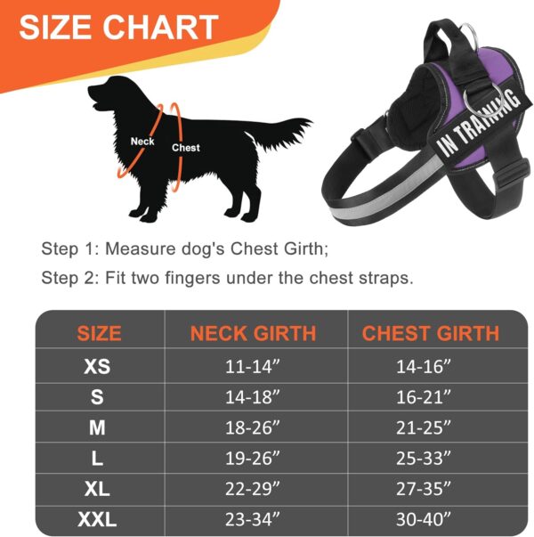 Essential Dog Harness, No Pull Pet Harness with 3 Side Rings for Leash Placement, No Choke, Reflective, Adjustable Pet Vest, Easy On-Off & Improved Control Handle, Training, Walking, Running - Image 4