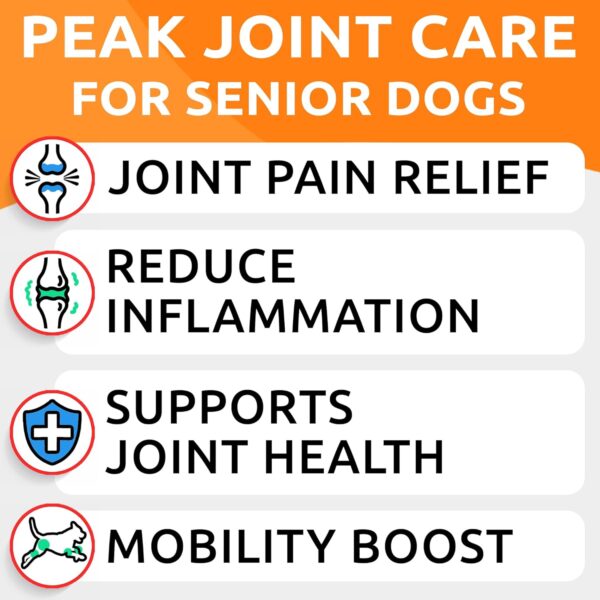 Bark&Spark Senior Advanced Glucosamine Chondroitin for Dogs - Hip Joint Pain Relief Pills - Old Dog Joint Supplement Large & Small Breed - Hip Joint Chews Joint Health Care Vitamin Treats - 120Ct - Image 3