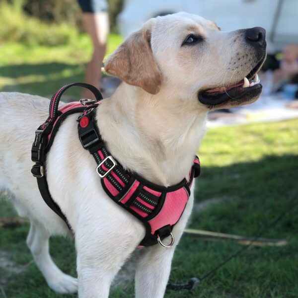 rabbitgoo Dog Harness for Large Dogs, No Pull Dog Vest Harness with 3 Buckles, Adjustable Soft Padded Pet Harness with Easy Control Handle and Reflective Strips, Pink, L - Image 10