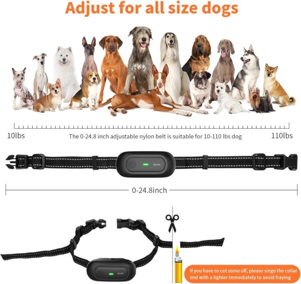 NVK Shock Collar, Dog Training Collar with Remote for Medium Large Dogs, Rechargeable Dog Shock Collar with Shock, Vibration, Beeps Modes, IPX7 Waterproof, Range up to 1600Ft - Image 7