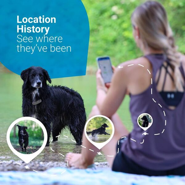 Tractive GPS Tracker & Health Monitoring for Dogs - Market Leading Pet GPS Location Tracker, Wellness & Escape Alerts, Waterproof, Works with Any Collar (White) - Image 11