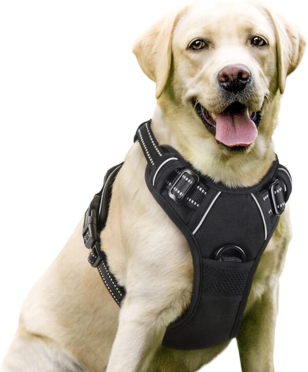 rabbitgoo Dog Harness, No-Pull Pet Harness with 2 Leash Clips, Adjustable Soft Padded Dog Vest, Reflective No-Choke Pet Oxford Vest with Easy Control Handle for Large Dogs, Black, L - Image 2