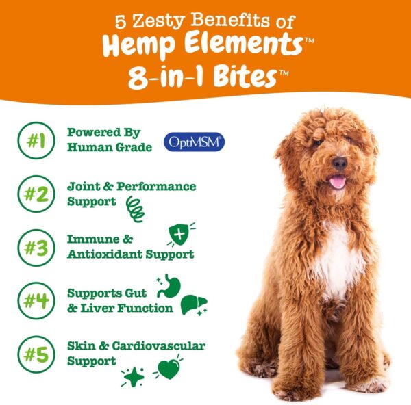 Zesty Paws 8-in-1 Bites for Dogs + Hemp Seed, 90 Count (Packaging May Vary) - Image 4