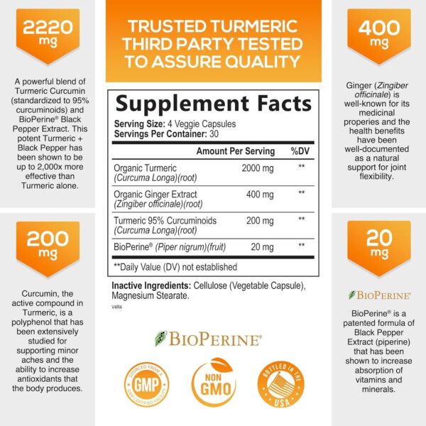 Turmeric Curcumin with BioPerine & Ginger 95% Standardized Curcuminoids 2600mg Black Pepper for Max Absorption Joint Support, Nature's Tumeric Herbal Extract Supplement, Vegan, Non-GMO - 120 Capsules - Image 3