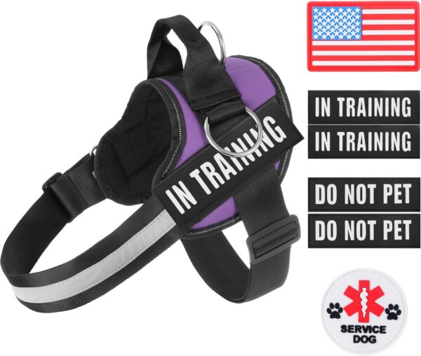 Essential Dog Harness, No Pull Pet Harness with 3 Side Rings for Leash Placement, No Choke, Reflective, Adjustable Pet Vest, Easy On-Off & Improved Control Handle, Training, Walking, Running - Image 9