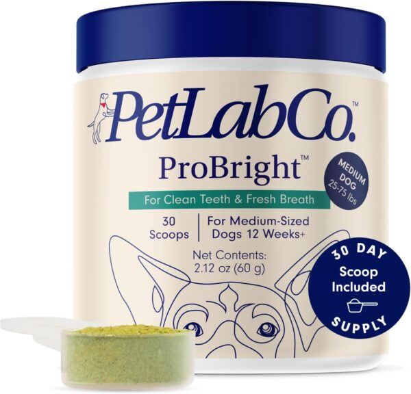 PetLab Co. ProBright Dental Powder - Dog Breath Freshener - Teeth Cleaning Made Easy – Targets Tartar & Bad Breath - Formulated for Medium Size Dogs - Image 2