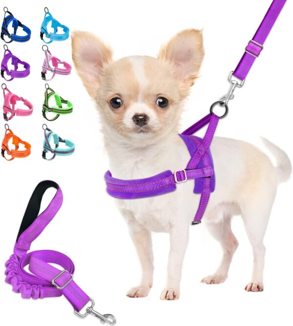 Lukovee Dog Harness and Leash Set, Soft Padded Small Dog Harness, Neck & Chest Adjustable Reflective Vest Puppy Harness with 4ft Lightweight Anti-Twist Dog Leash for Small Dogs (XX-Small, Purple) - Image 2