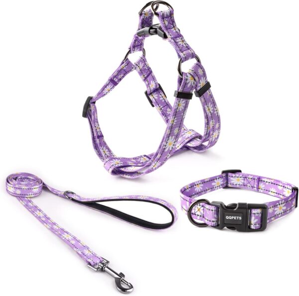 QQPETS Dog Harness Collar Leash - No Pull Pet Adjustable Back Clip Halter Basic Collar Heavy Duty 5FT Anti-Twist Leash for Extra Small Puppy Medium Large Breed Training Easy Walk Running - Image 2