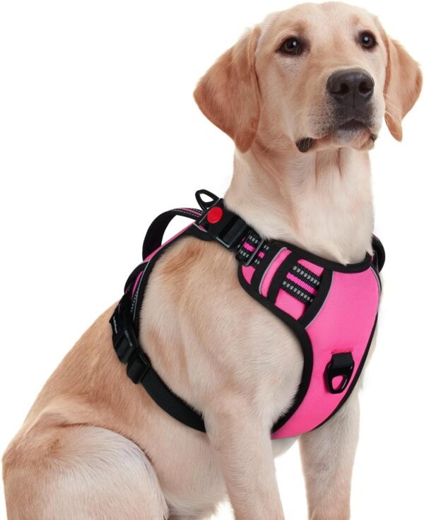 rabbitgoo Dog Harness Medium Sized, No Pull Pet Harness with Soft Padded Handle, Adjustable Reflective Vest with 3 Buckles, Easy Walking Harness with 2 Leash Clips, Pink, M - Image 2