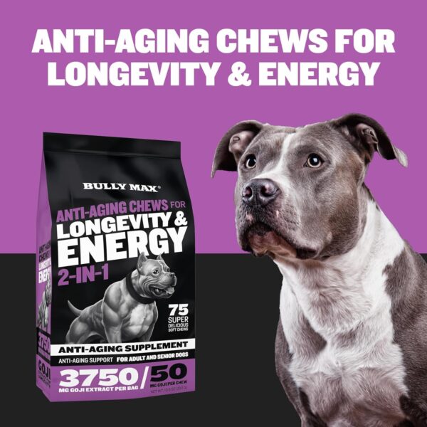 Bully Max 2-in-1 Anti-Aging Multivitamin Chews - Senior Dog Food Supplement for Vitality, Immunity, Joint Support with Postbiotics - Adult Dog Vitamins - 2 Packs, 75 Tasty Soft Chews per Pack - Image 3