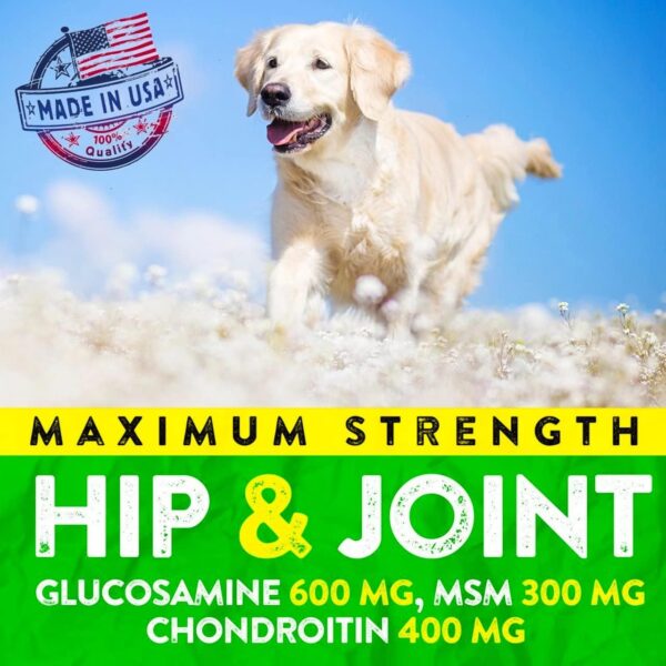 Hemp Hip and Joint Supplement for Dogs - Glucosamine for Dogs - 170 Dog Joint Pain Relief Treats - Chondroitin, Hemp Oil, MSM - Mobility & Flexibility Support - Advanced Joint Health - Made in USA - Image 5