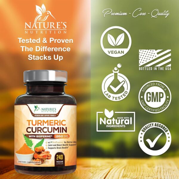 Turmeric Curcumin with BioPerine 95% Standardized Curcuminoids 1950mg - Black Pepper Extract for Max Absorption, Nature's Joint Support Supplement, Herbal Turmeric Pills, Vegan Non-GMO - 240 Capsules - Image 6