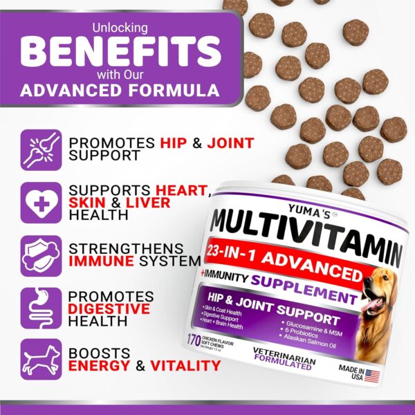 Dog Multivitamin Chewable with Glucosamine - Dog Vitamins and Supplements - 170 Treats - Senior & Puppy Multivitamin for Dogs - Hip & Joint Support - Immune Health, Skin, Heart, Digestion, Probiotics - Image 3