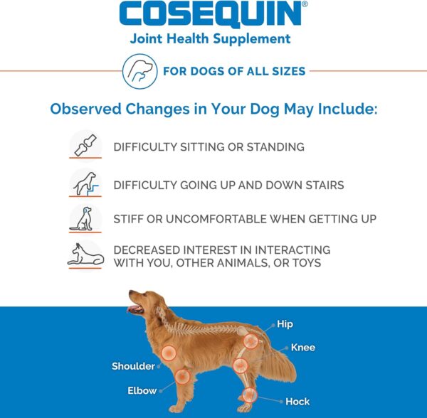 Nutramax Laboratories Cosequin Maximum Strength Joint Health Supplement for Dogs - With Glucosamine, Chondroitin, and MSM, 132 Chewable Tablets - Image 6