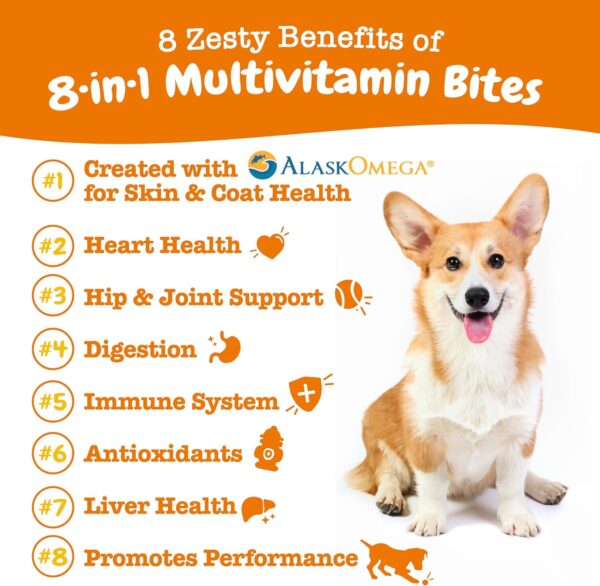 Zesty Paws Multivitamin Treats for Dogs - Glucosamine Chondroitin for Joint Support + Digestive Enzymes & Probiotics - Grain Free Dog Vitamin for Skin & Coat + Immune Health - Chicken Flavor - 90ct - Image 4