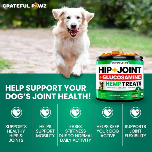 Hemp Hip and Joint Supplement for Dogs - Glucosamine for Dogs - 170 Dog Joint Pain Relief Treats - Chondroitin, MSM, Hemp Oil - Advanced Dog Joint Supplement Health - Mobility Support Chews - Image 6