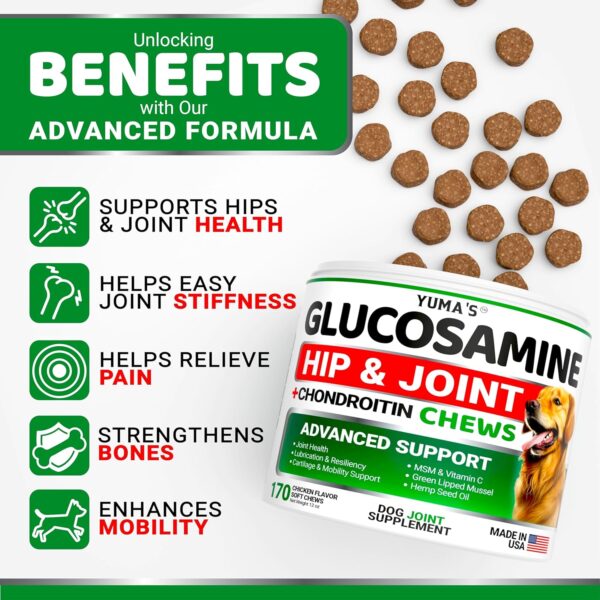 Glucosamine for Dogs - Hip and Joint Supplement for Dogs - 170 Ct - Glucosamine Chondroitin for Dogs Chews - Dog Joint Pain Relief with MSM - Advanced Dog Joint Supplement Health - Mobility Support - Image 3