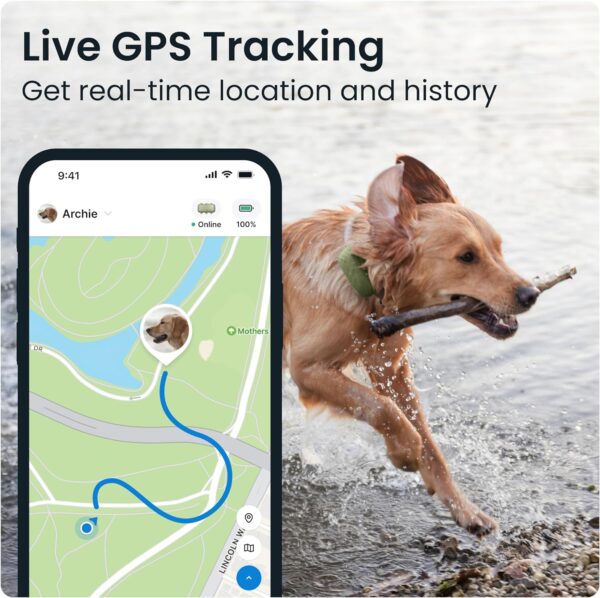 Tractive XL GPS Tracker & Health Monitoring for Dogs (50 lbs+) - Market Leading Pet GPS Location Tracker | Wellness & Escape Alerts | Waterproof | Works with Any Collar (Green) - Image 4