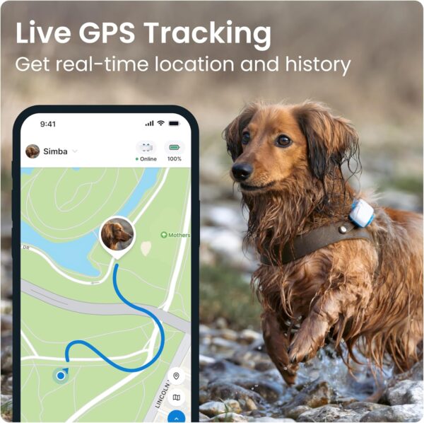 Tractive GPS Tracker & Health Monitoring for Dogs - Market Leading Pet GPS Location Tracker, Wellness & Escape Alerts, Waterproof, Works with Any Collar (White) - Image 4