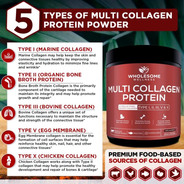 Multi Collagen Protein Powder Hydrolyzed (Type I II III V X) Grass-Fed All-in-One Super Bone Broth + Collagen Peptides - Premium Blend of Grass-Fed Beef, Chicken, Wild Fish, Eggshell Collagen - Image 6