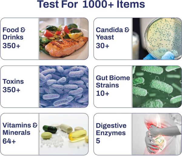 AFIL Premium | 1000+ Items Tested | Food Sensitivity Intolerance Home Test for Adults & Kids | Foods, Drinks, Toxins, Vitamins, Minerals, Fatty Acids, Gut Biome, Candida, Digestive Health - Image 6