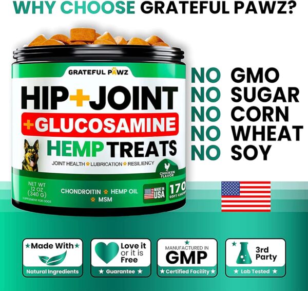 Hemp Hip and Joint Supplement for Dogs - Glucosamine for Dogs - 170 Dog Joint Pain Relief Treats - Chondroitin, MSM, Hemp Oil - Advanced Dog Joint Supplement Health - Mobility Support Chews - Image 5