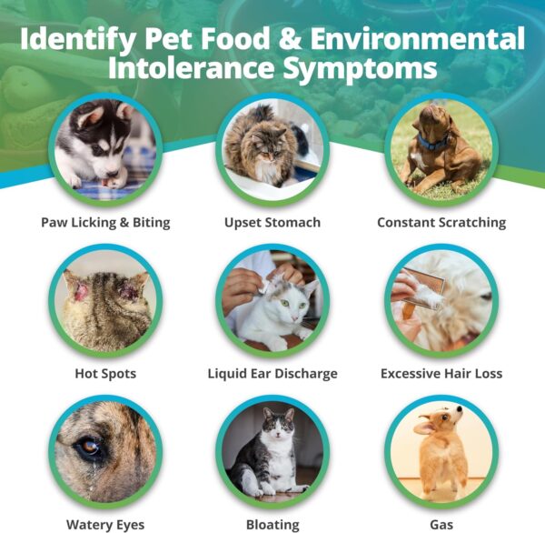 5Strands Pet Food and Environmental Intolerance Test, at Home Sensitivity Test for Dogs & Cats, Hair Sample Collection Kit, 395 Items Tested, Results in 5 Days, Works for All Ages and Breeds - Image 3