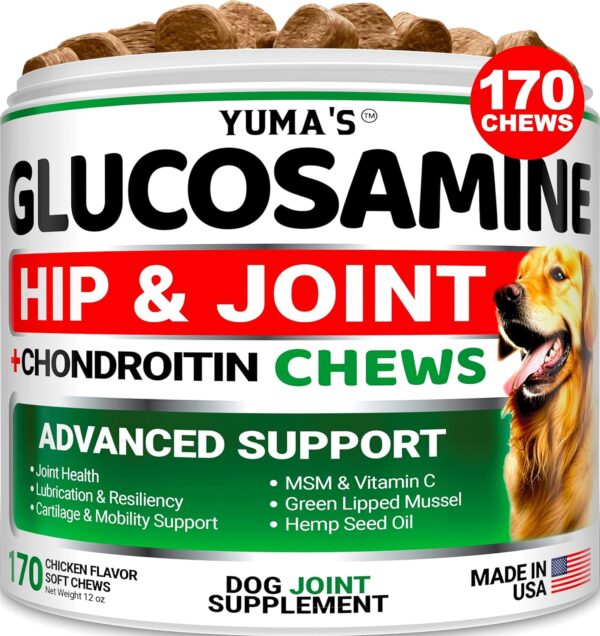 Glucosamine for Dogs - Hip and Joint Supplement for Dogs - 170 Ct - Glucosamine Chondroitin for Dogs Chews - Dog Joint Pain Relief with MSM - Advanced Dog Joint Supplement Health - Mobility Support - Image 2