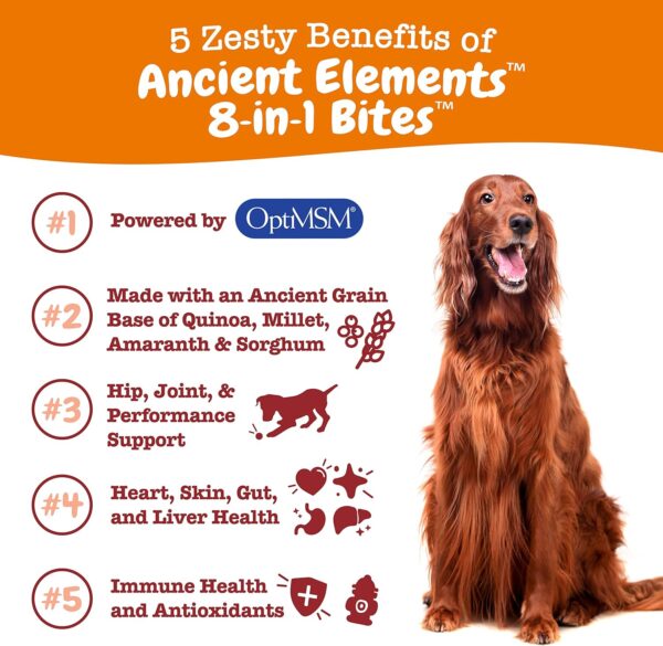 Zesty Paws Multivitamin Treats for Dogs - Glucosamine Chondroitin for Joint Support + Digestive Enzymes & Probiotics - Grain Free Dog Vitamin for Skin & Coat + Immune Health - AE - 90 Count - Image 4