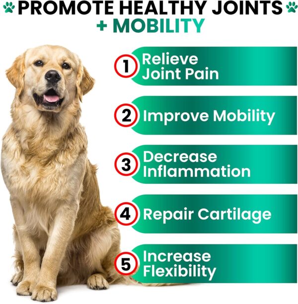 Hemp Hip and Joint Supplement for Dogs - Glucosamine for Dogs - 170 Dog Joint Pain Relief Treats - Chondroitin, MSM, Hemp Oil - Advanced Dog Joint Supplement Health - Mobility Support Chews - Image 3