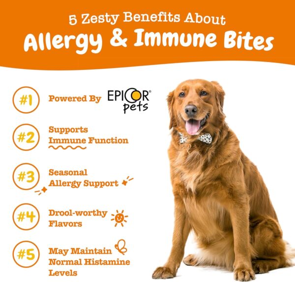 Zesty Paws Dog Allergy Relief - Anti Itch Supplement - Omega 3 Probiotics for Dogs - Digestive Health - Soft Chews for Skin & Seasonal Allergies - with Epicor Pets - Lamb - 90 Count - Image 4