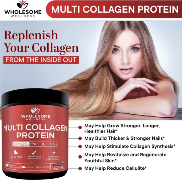 Multi Collagen Protein Powder Hydrolyzed (Type I II III V X) Grass-Fed All-in-One Super Bone Broth + Collagen Peptides - Premium Blend of Grass-Fed Beef, Chicken, Wild Fish, Eggshell Collagen - Image 8