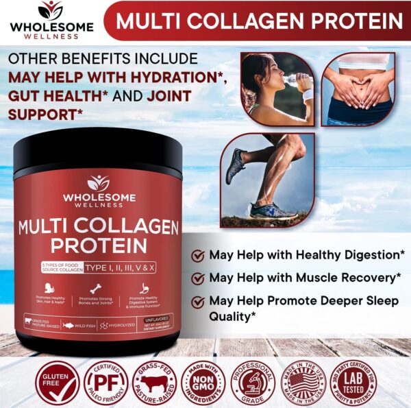 Multi Collagen Protein Powder Hydrolyzed (Type I II III V X) Grass-Fed All-in-One Super Bone Broth + Collagen Peptides - Premium Blend of Grass-Fed Beef, Chicken, Wild Fish, Eggshell Collagen - Image 7