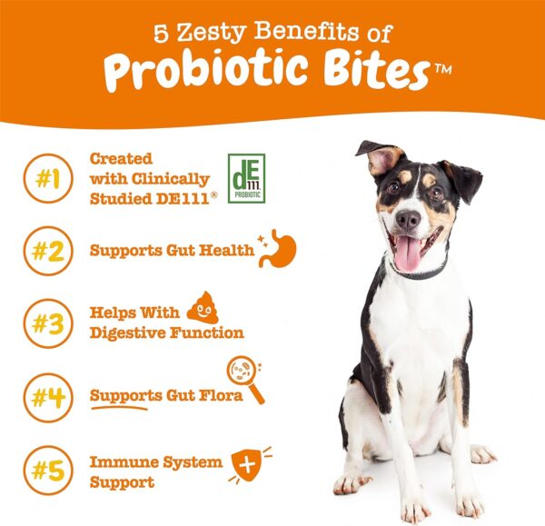 Zesty Paws Probiotic for Dogs - Probiotics for Gut Flora, Digestive Health, Occasional Diarrhea & Bowel Support - Clinically Studied DE111 Dog Supplement Soft Chews for Pet Immune System, 50 Count - Image 4