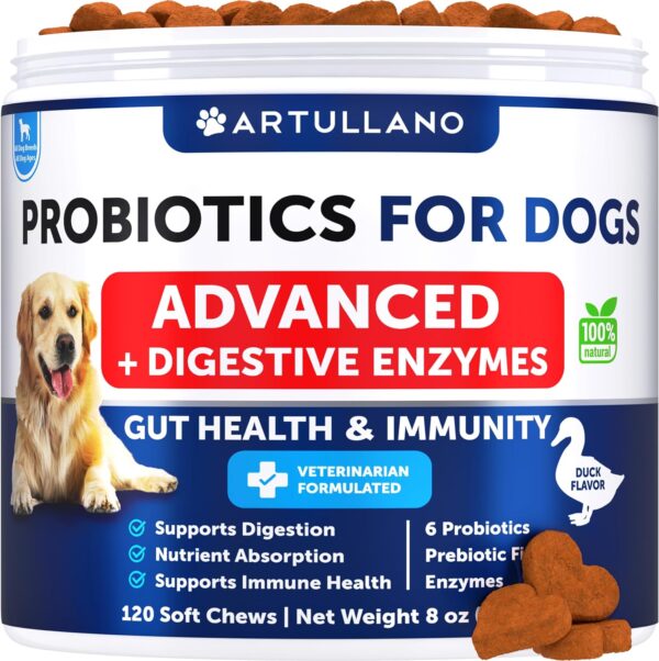 Probiotics for Dogs - Support Gut Health, Itchy Skin, Allergies, Immunity, Yeast Balance - Dog Probiotics and Digestive Enzymes with Prebiotics - Reduce Diarrhea, Gas - 120 Probiotic Chews for Dogs - Image 2