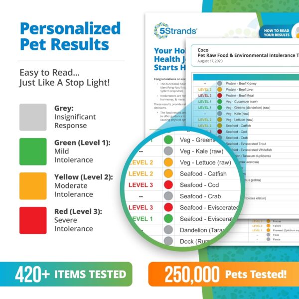 5Strands Pet Raw Food Intolerance & Environmental Sensitivity Test, at Home Test for Dogs & Cats, Hair Sample Collection Kit, All Ages and Breeds, Results in 5 Days - Image 5