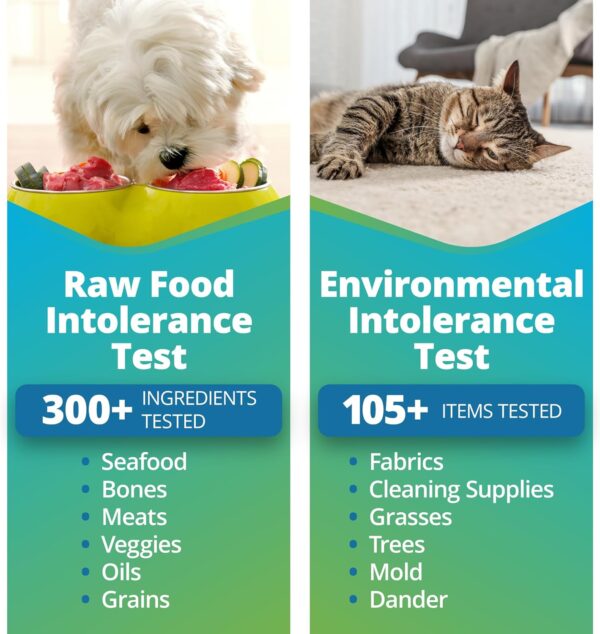 5Strands Pet Raw Food Intolerance & Environmental Sensitivity Test, at Home Test for Dogs & Cats, Hair Sample Collection Kit, All Ages and Breeds, Results in 5 Days - Image 3